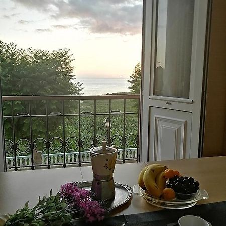 타자꼬르테 Quinta Miramar 빌라 외부 사진
